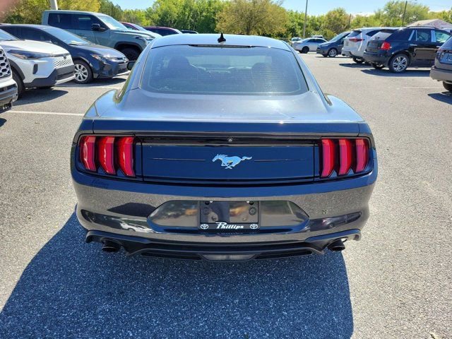 Used 2022 Ford Mustang EcoBoost image 11