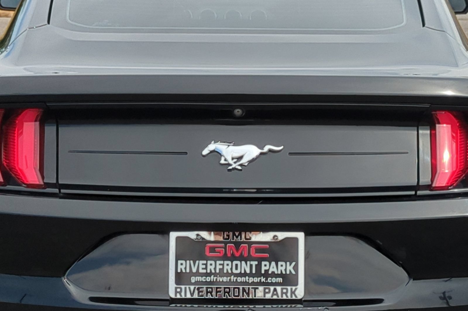 Used 2019 Ford Mustang Premium w/ Equipment Group 201A RWD image 49