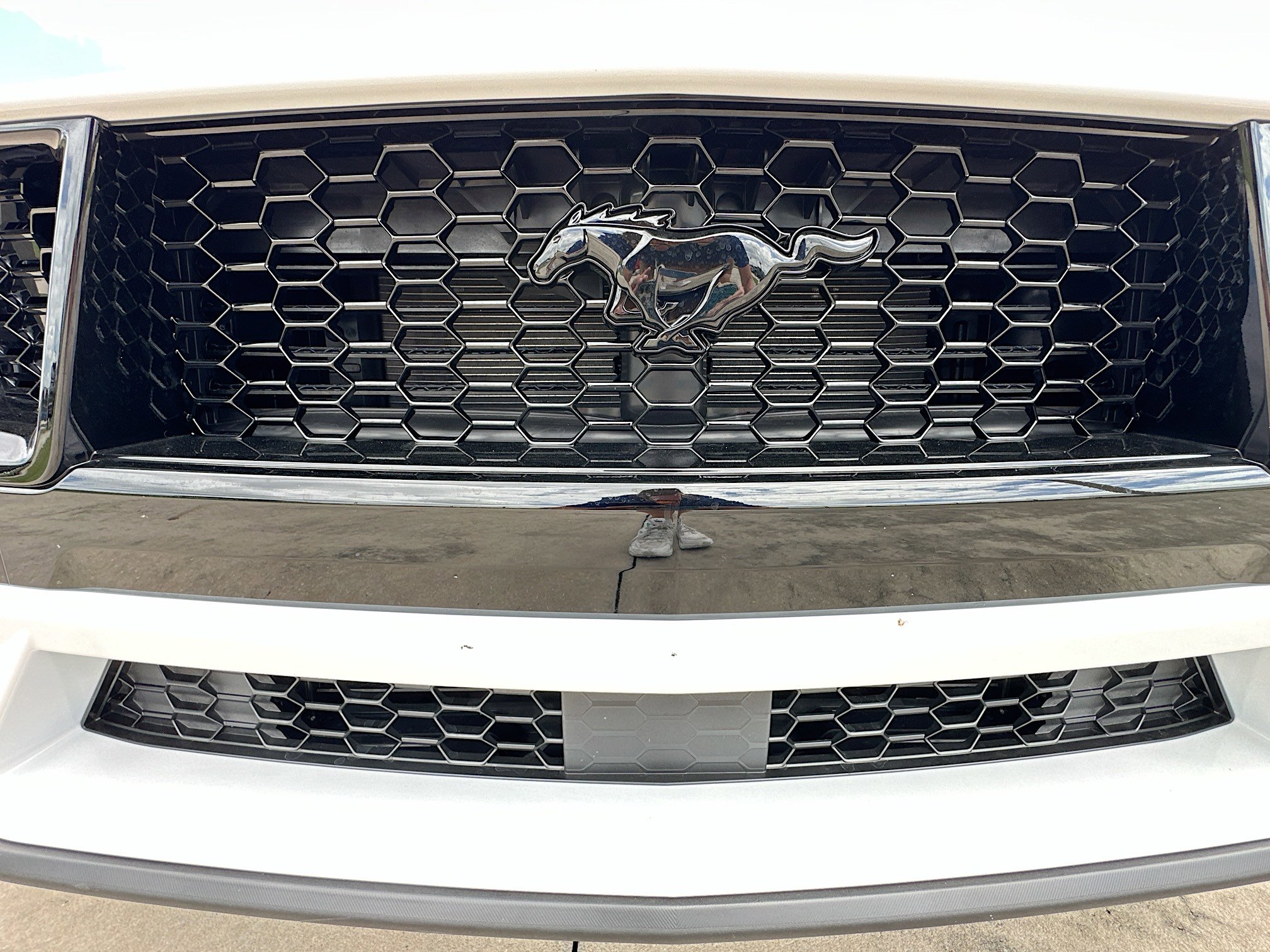 New 2026 Ford Mustang GT RWD image 21