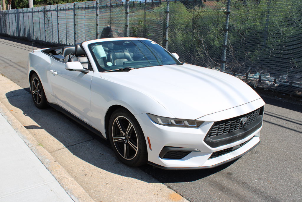 Used 2024 Ford Mustang Premium RWD image 4