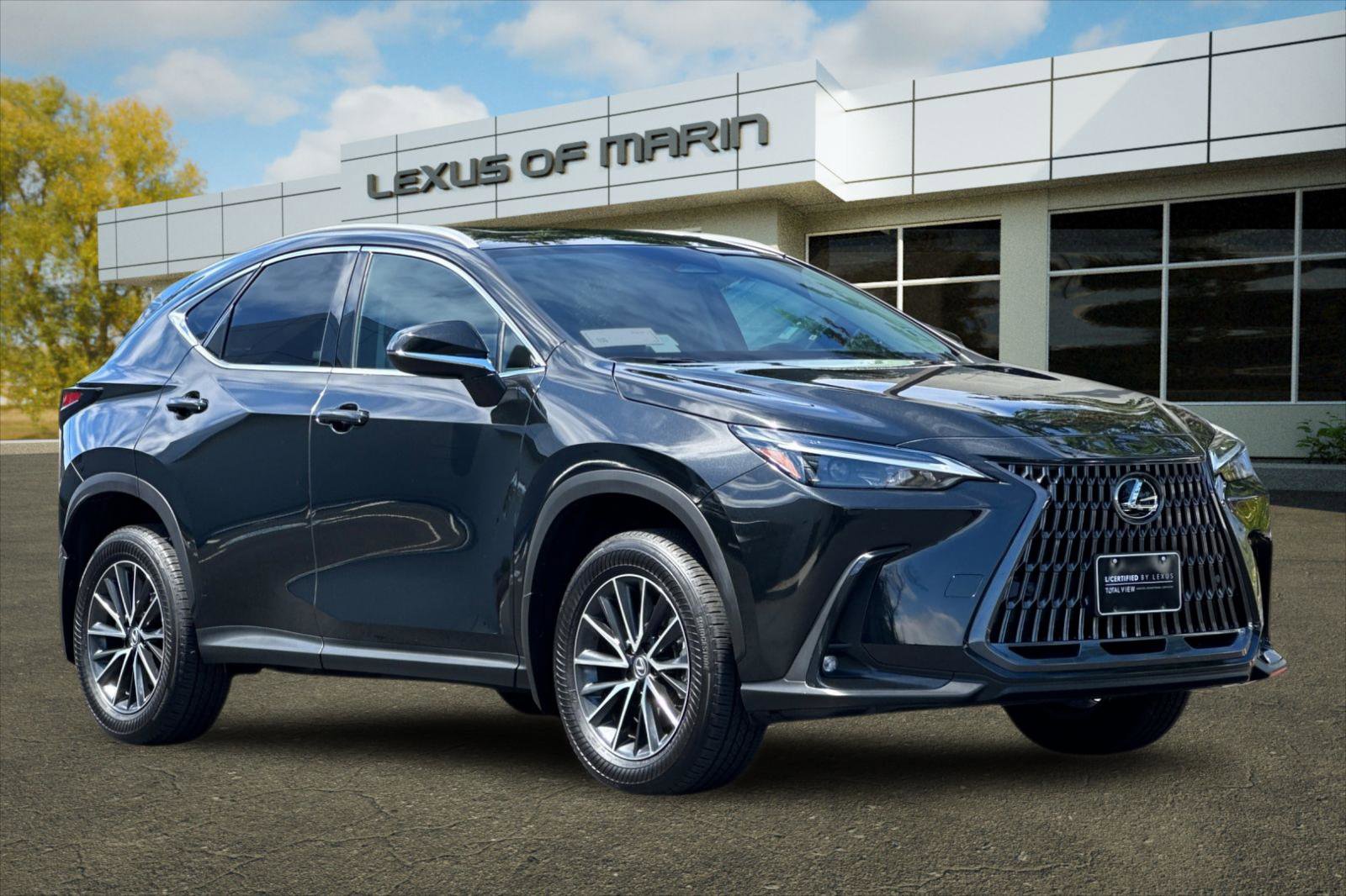 Certified 2024 Lexus NX 250 FWD w/ Premium Package image 6