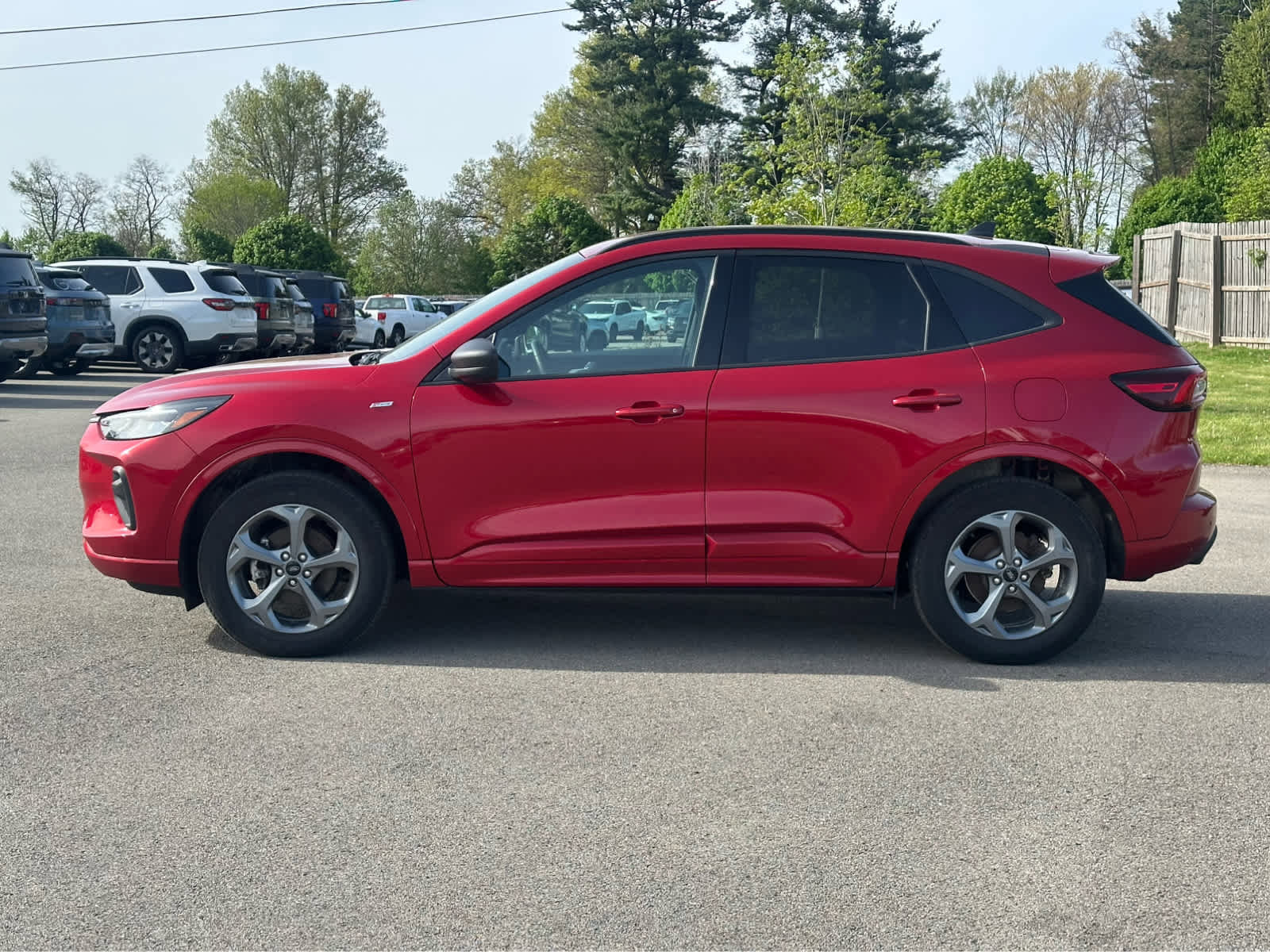 Used 2024 Ford Escape ST-Line w/ Tech Pack #1 AWD/4WD image 4