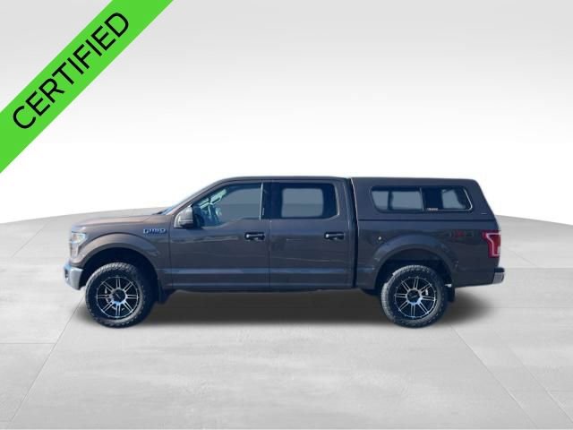 Used 2015 Ford F150 XLT image 3