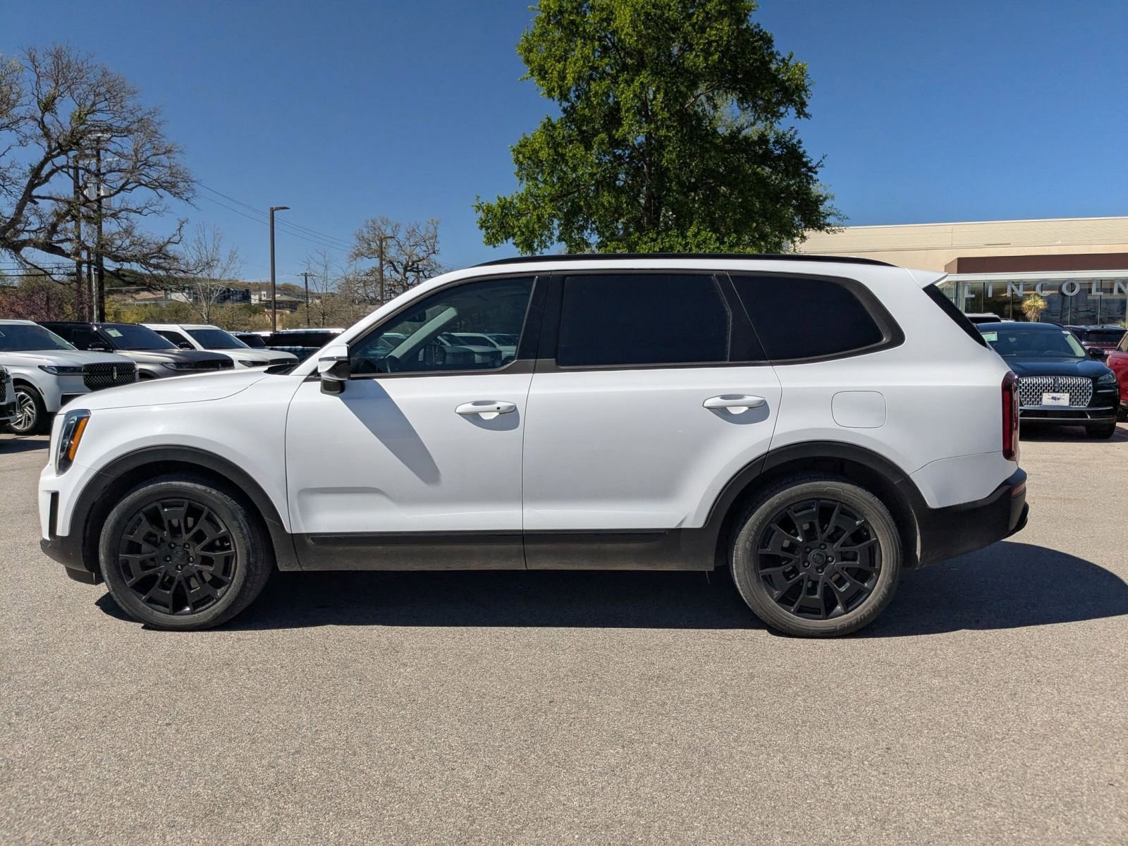 Used 2021 Kia Telluride SX w/ SX Prestige Package image 6
