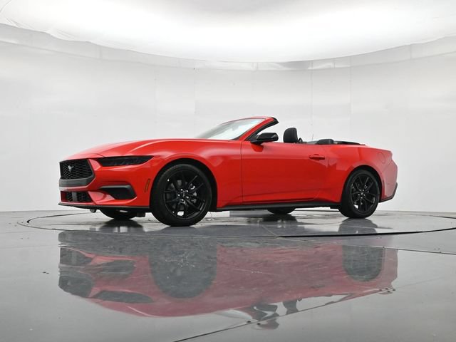 New 2026 Ford Mustang Convertible w/ Mustang Nite Pony Package RWD image 43