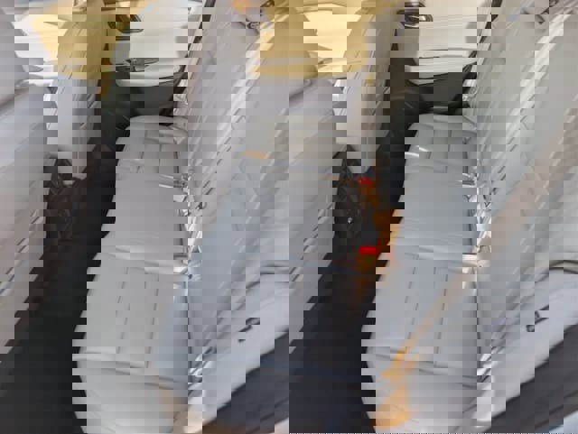 Used 2022 Nissan Rogue SL w/ SL Premium Package image 10