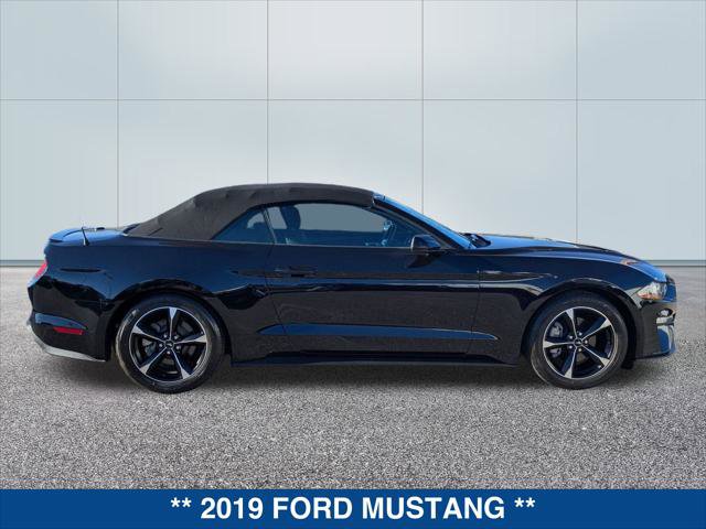 Used 2019 Ford Mustang EcoBoost w/ Equipment Group 101A image 6