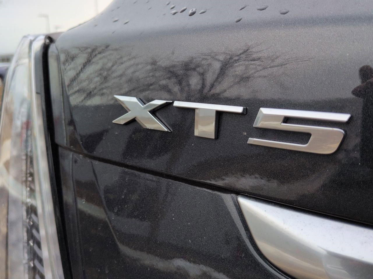 Certified 2023 Cadillac XT5 Sportv image 11