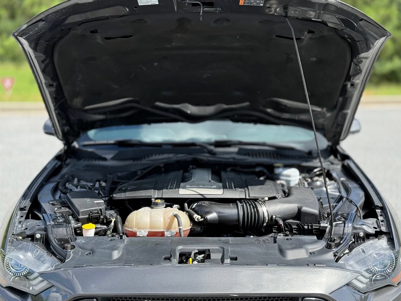 Used 2019 Ford Mustang GT w/ Equipment Group 301A RWD image 43