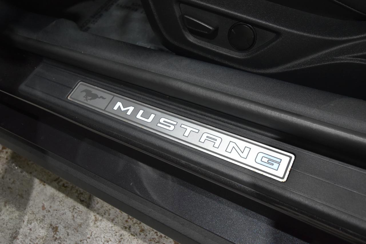 Used 2024 Ford Mustang GT Premium image 14