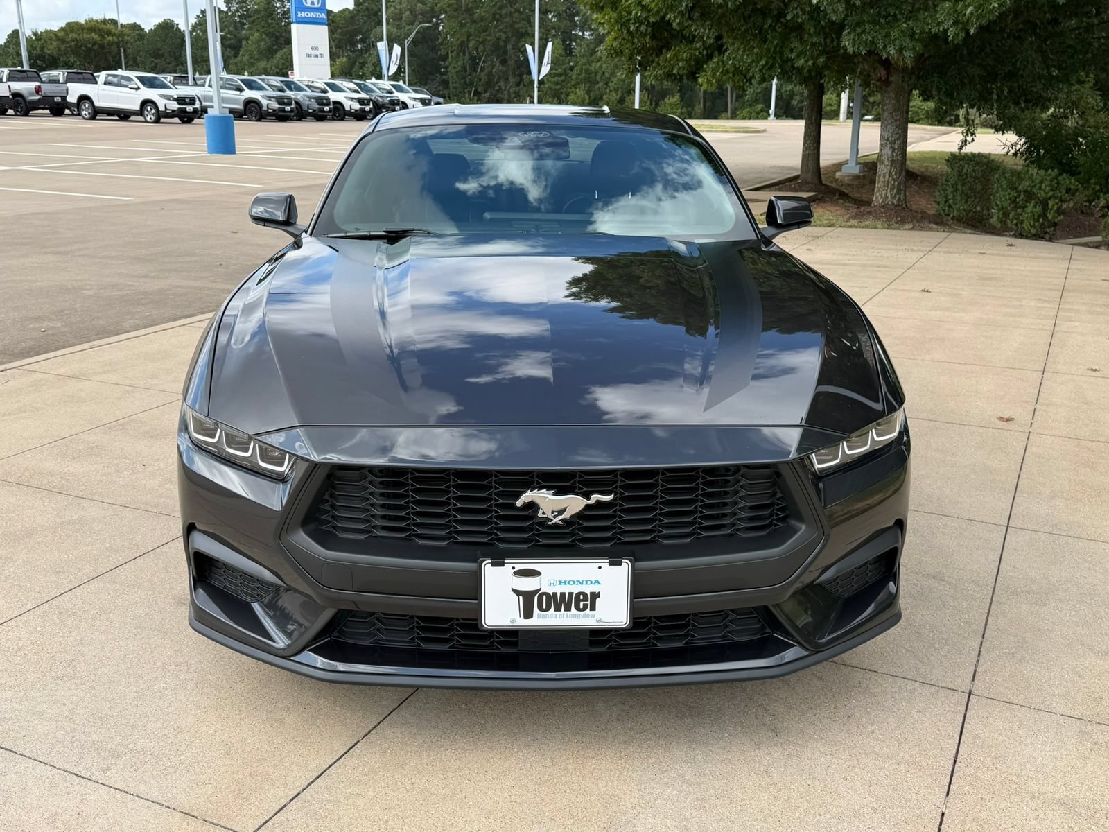Used 2024 Ford Mustang Premium w/ Wheel & Stripe Package RWD image 2