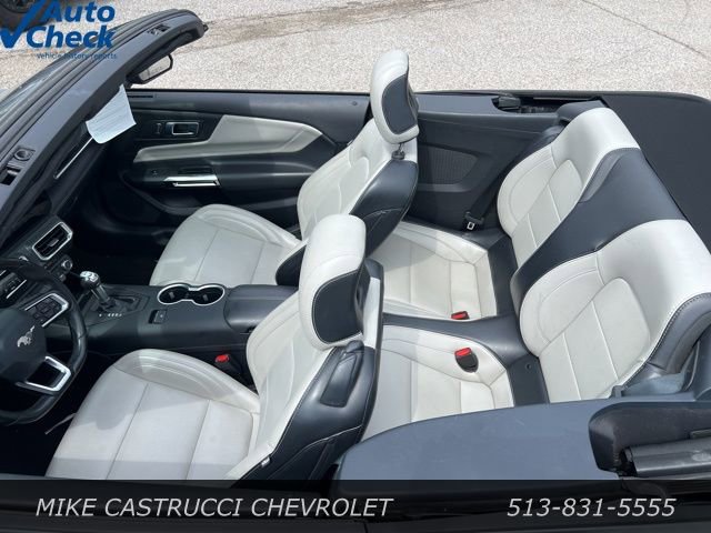 Used 2024 Ford Mustang Premium image 6