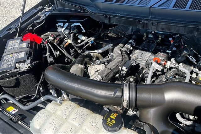 Used 2025 Ford F150 XLT w/ Equipment Group 301A Standard AWD/4WD image 30