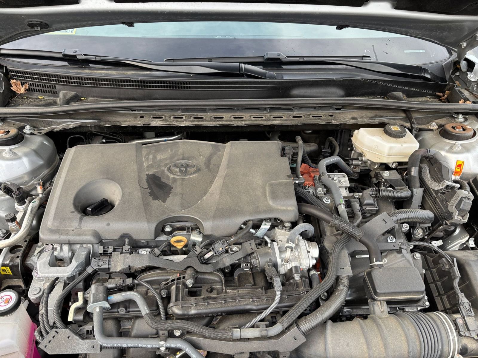 Used 2025 Toyota Camry LE image 31