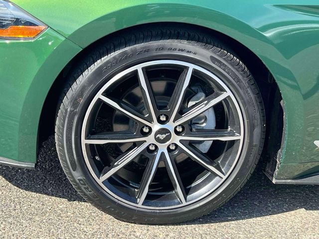 Used 2022 Ford Mustang EcoBoost w/ Equipment Group 101A image 10