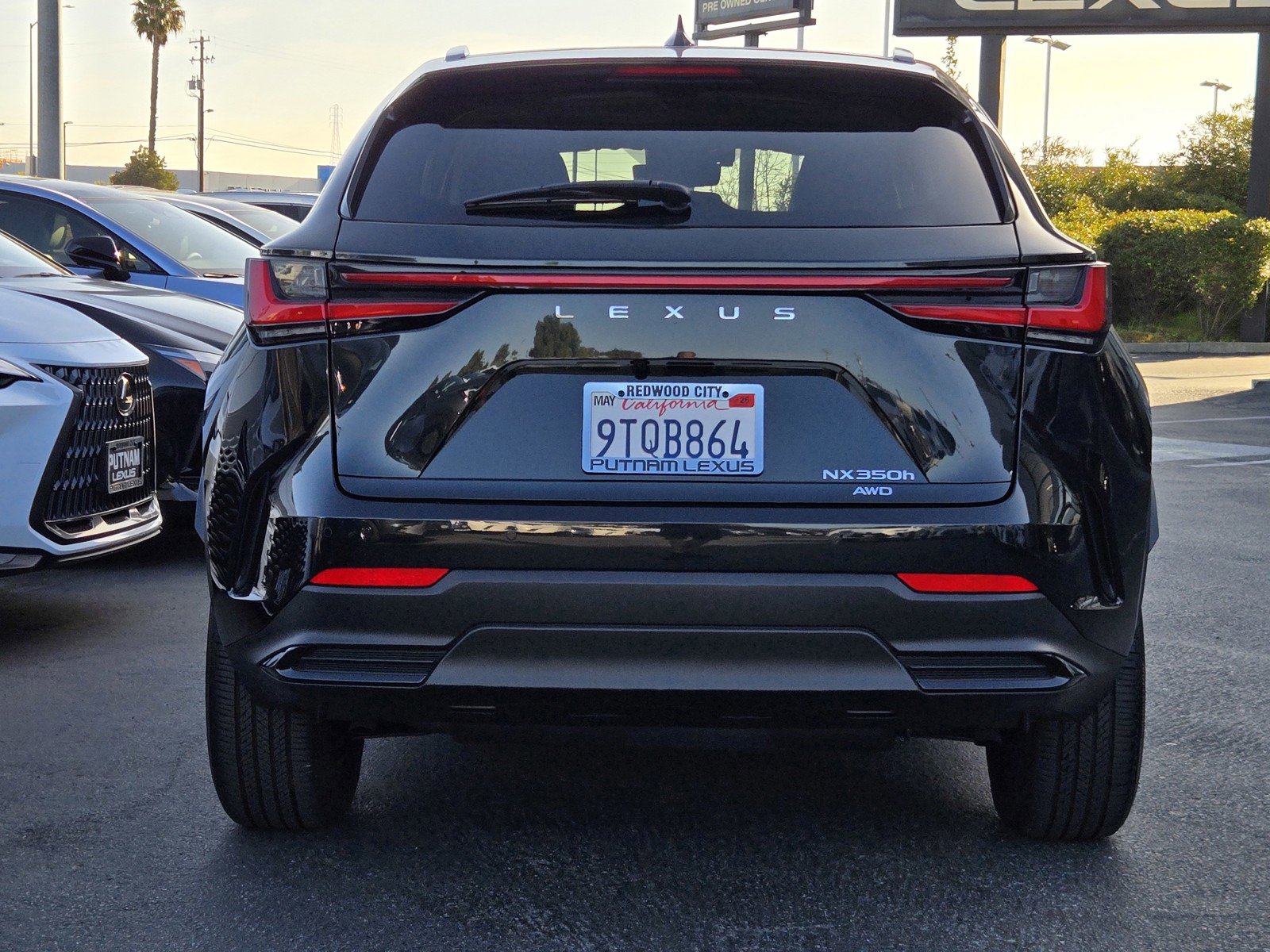 Used 2025 Lexus NX 350h AWD w/ Cold Area Package image 5