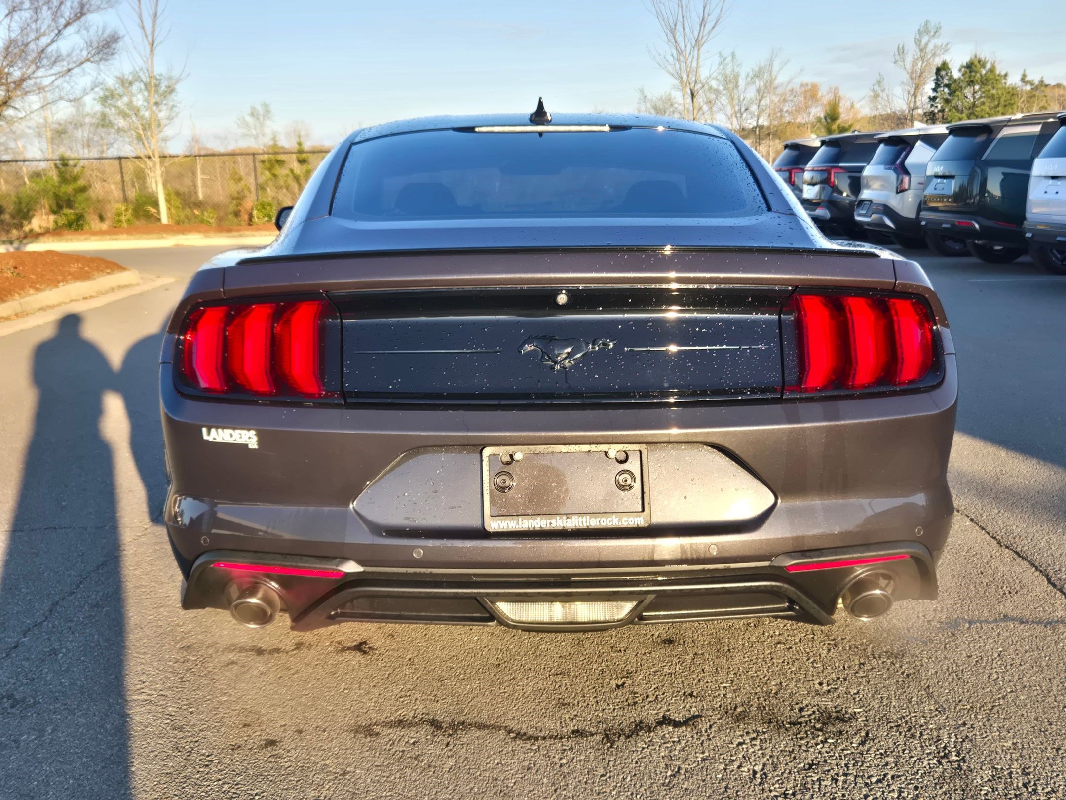 Used 2023 Ford Mustang EcoBoost w/ Equipment Group 101A image 6