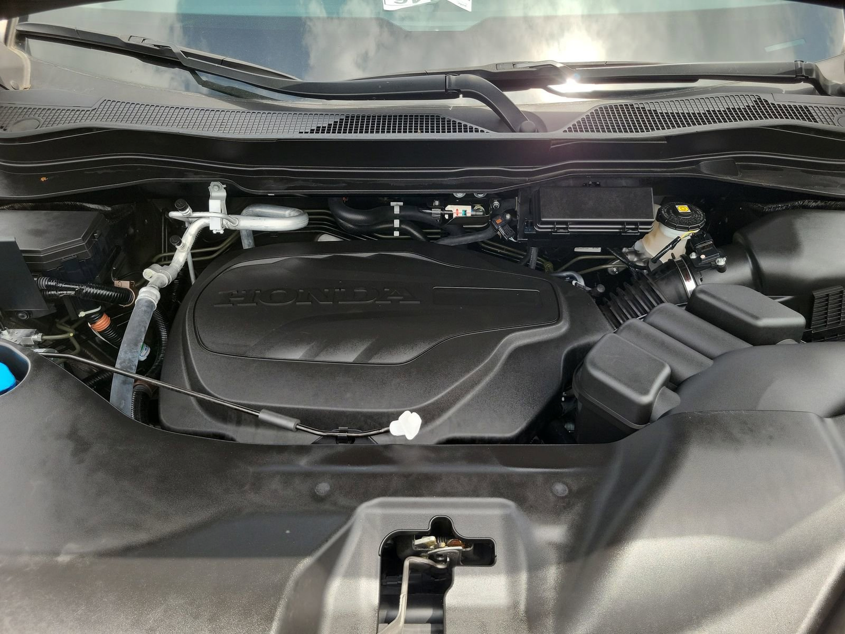 Used 2024 Honda Passport Black Edition image 22