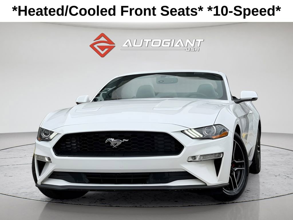 Used 2019 Ford Mustang Premium