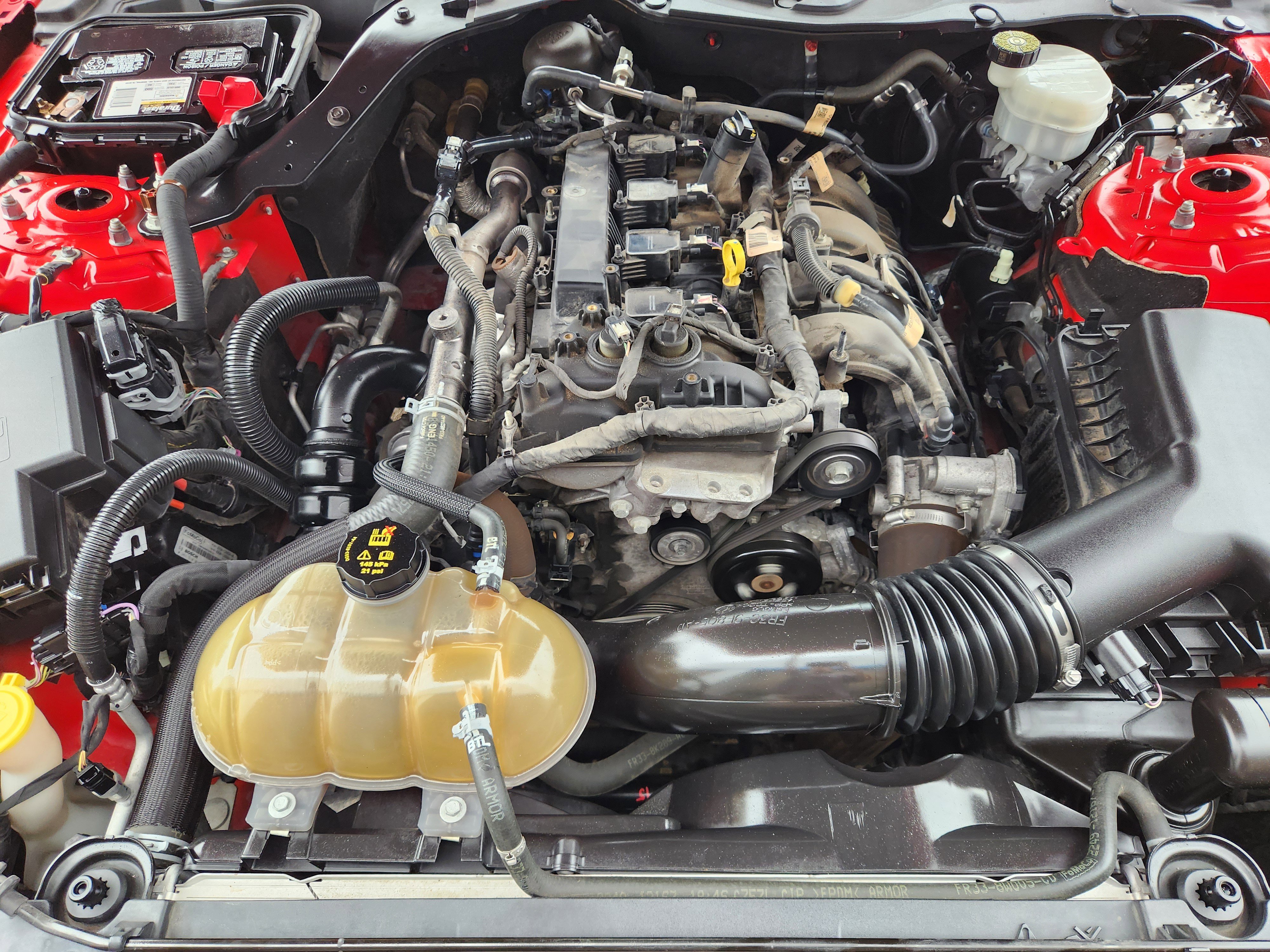 Used 2019 Ford Mustang Coupe RWD image 31