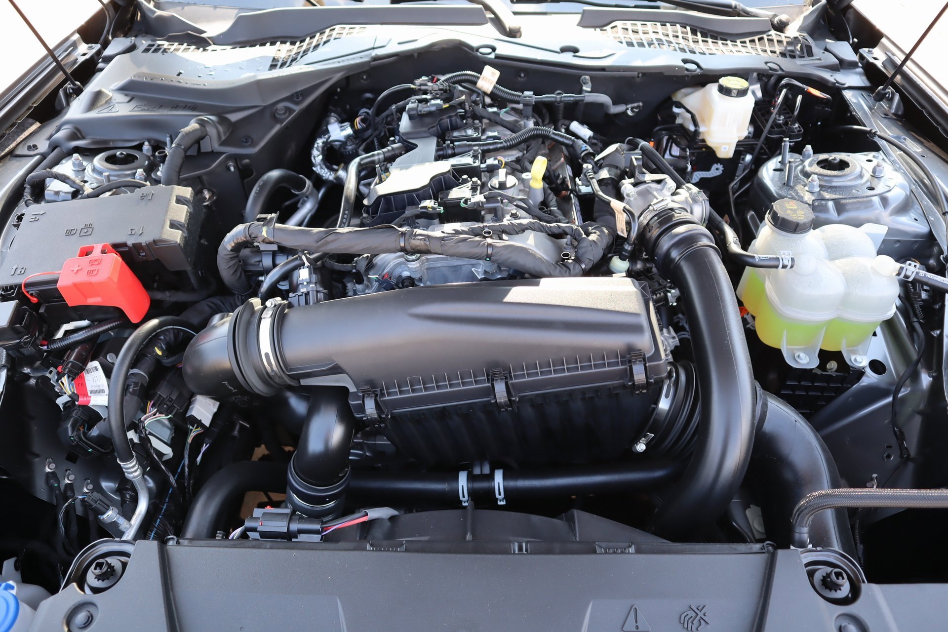 New 2025 Ford Mustang Coupe image 19