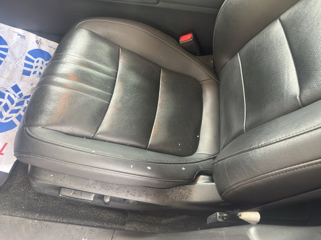 Used 2019 Honda Accord EX-L image 8