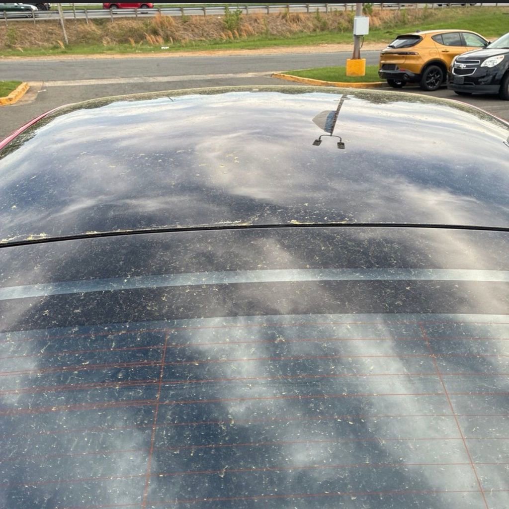 Used 2021 Tesla Model S Long Range image 10