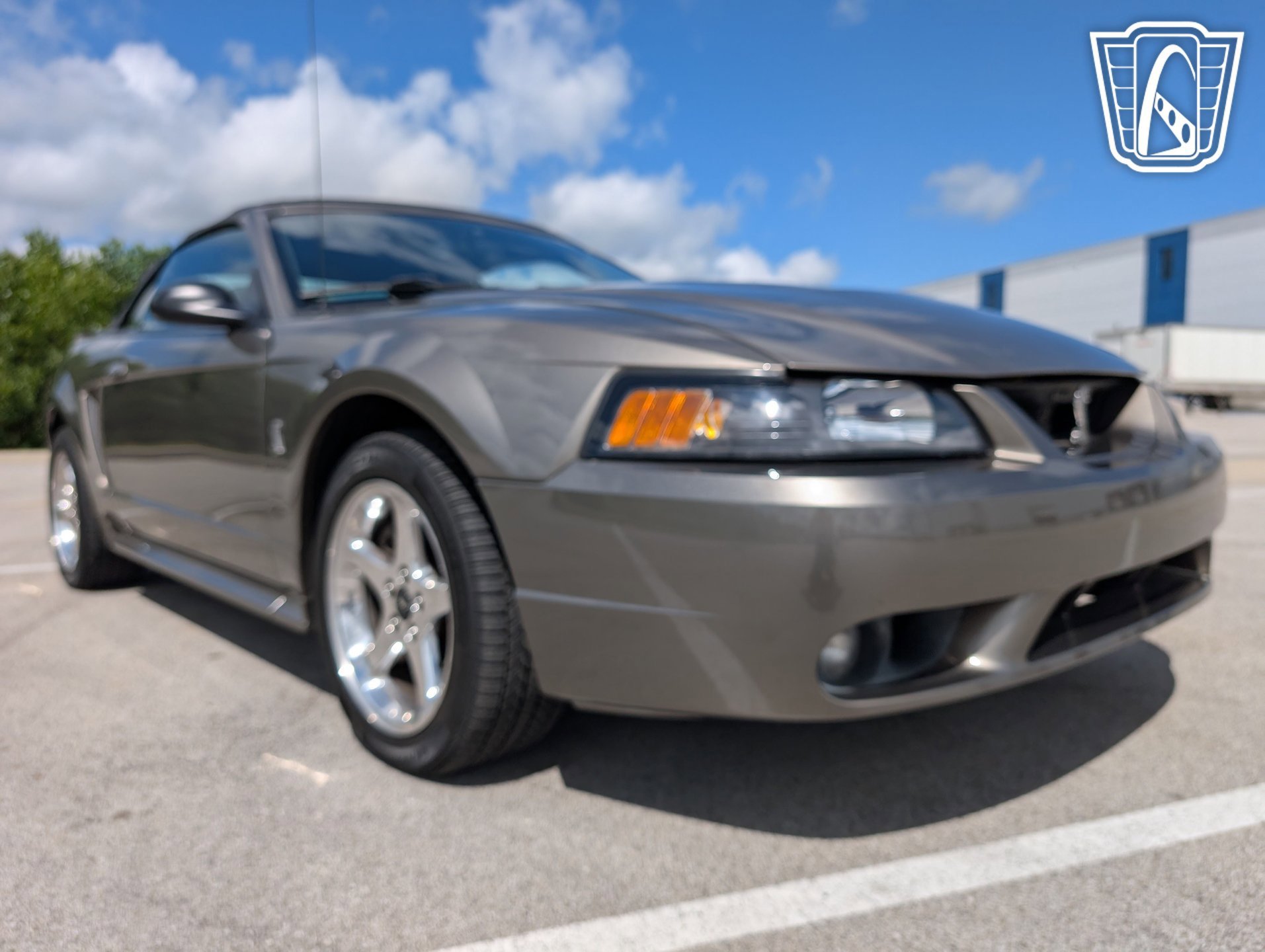 Used 2001 Ford Mustang Cobra image 21