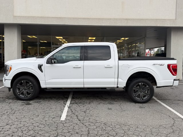 Used 2023 Ford F150 XLT w/ Equipment Group 302A High AWD/4WD image 8