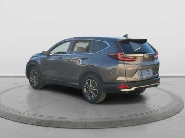 Used 2020 Honda CR-V EX-L image 5
