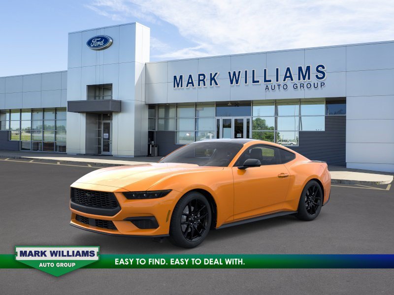 New 2026 Ford Mustang Coupe w/ Mustang Nite Pony Package RWD image 1
