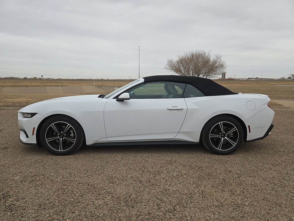 Used 2024 Ford Mustang Premium image 2