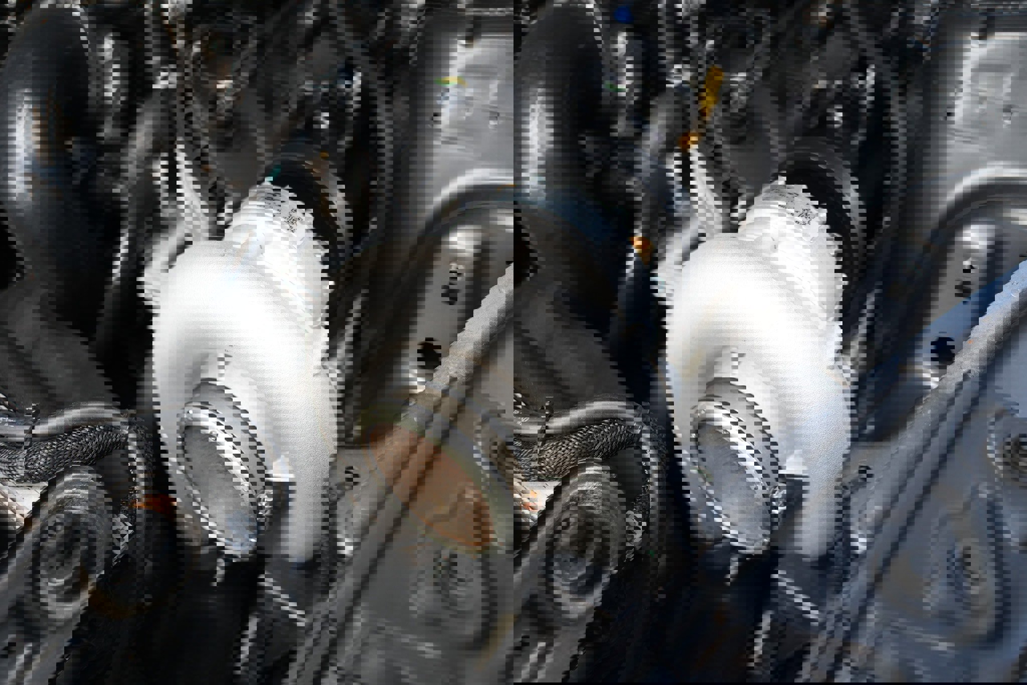 Used 2021 Ford Mustang GT w/ Black Accent Package image 59