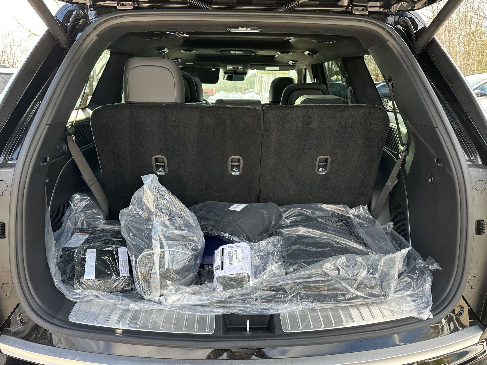 New 2026 Hyundai Palisade Calligraphy image 11