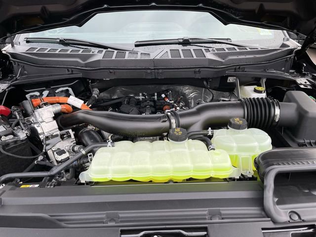 New 2026 Ford F150 XLT image 12