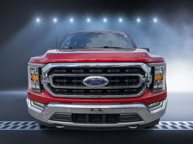 Used 2021 Ford F150 XLT w/ Equipment Group 302A High image 8