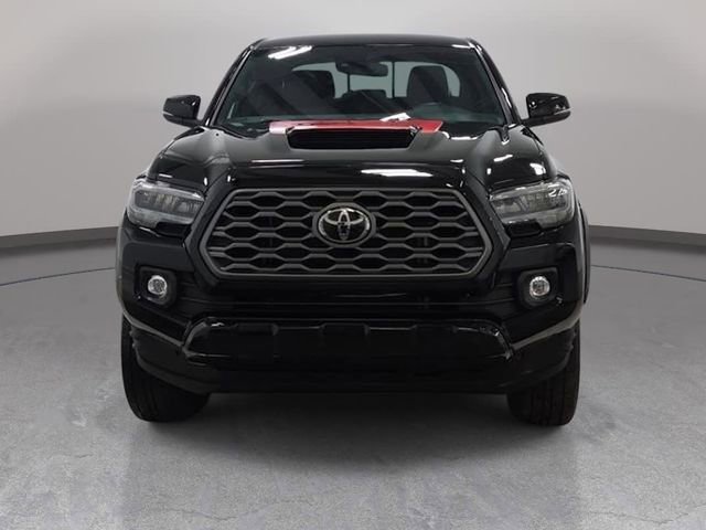 Used 2023 Toyota Tacoma TRD Sport image 3