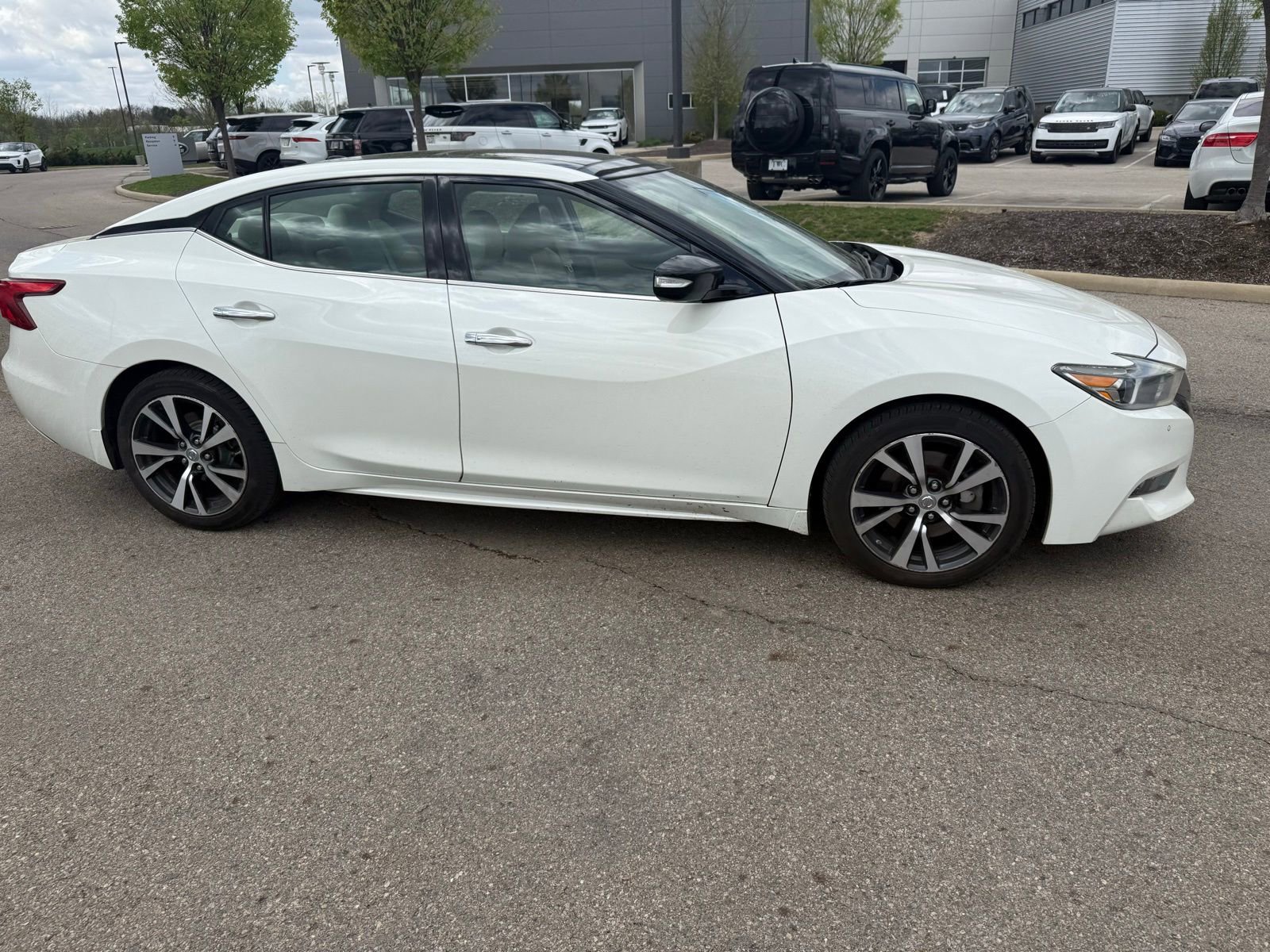 Used 2017 Nissan Maxima 3.5 SL image 4
