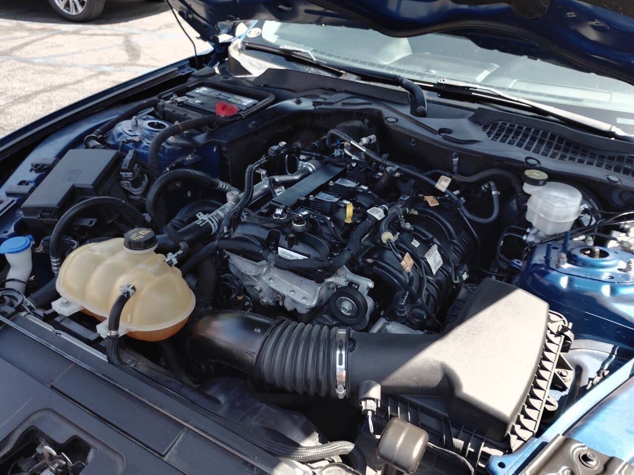 Used 2022 Ford Mustang Coupe w/ Equipment Group 101A RWD image 18