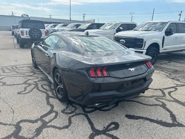 Used 2024 Ford Mustang Coupe RWD image 3