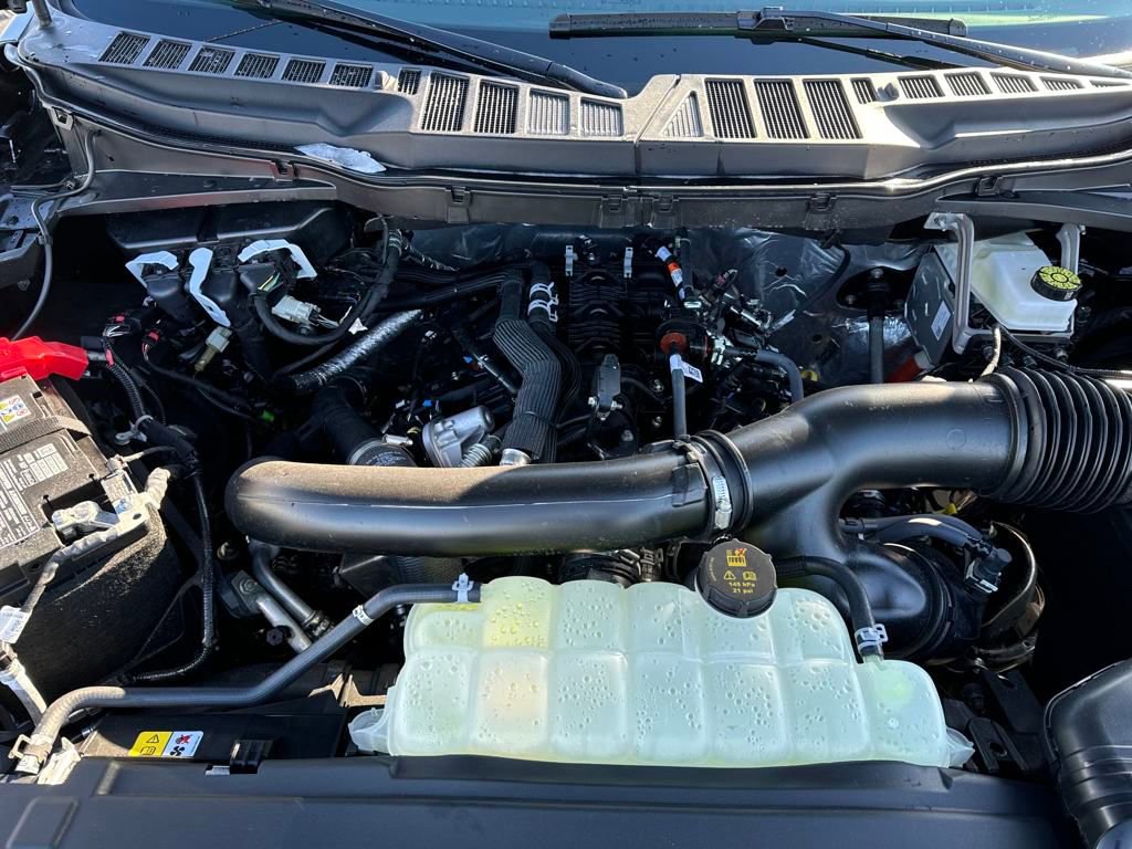 New 2025 Ford F150 XLT w/ Equipment Group 302A MID image 21