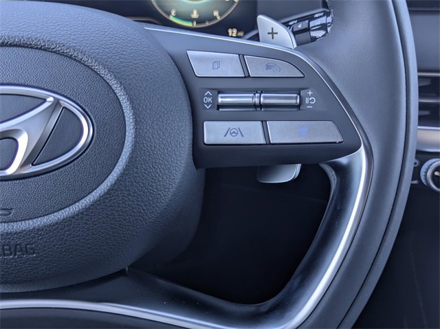 New 2025 Hyundai Palisade Calligraphy image 17