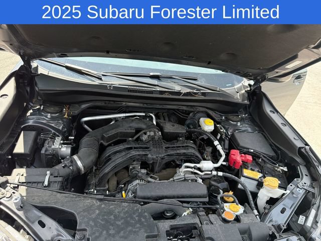 Used 2025 Subaru Forester Limited AWD/4WD image 19
