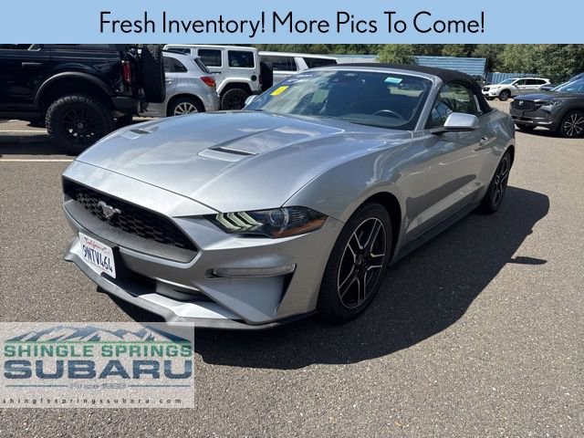 Used 2022 Ford Mustang Premium image 4