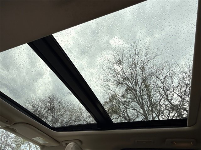 Certified 2024 Ford Expedition Limited image 16