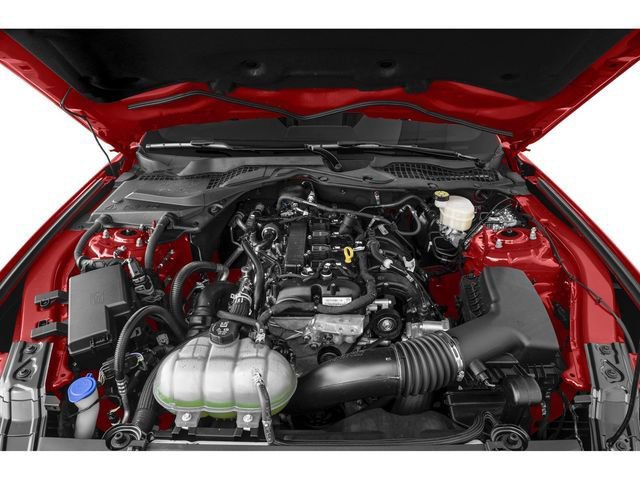 Used 2022 Ford Mustang EcoBoost image 12