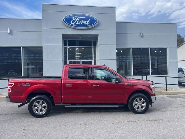 Used 2019 Ford F150 XLT w/ Equipment Group 302A Luxury image 2