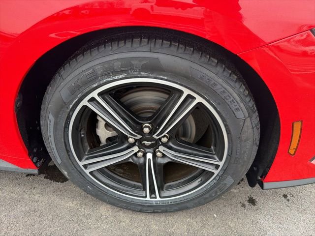 Certified 2024 Ford Mustang Premium image 3