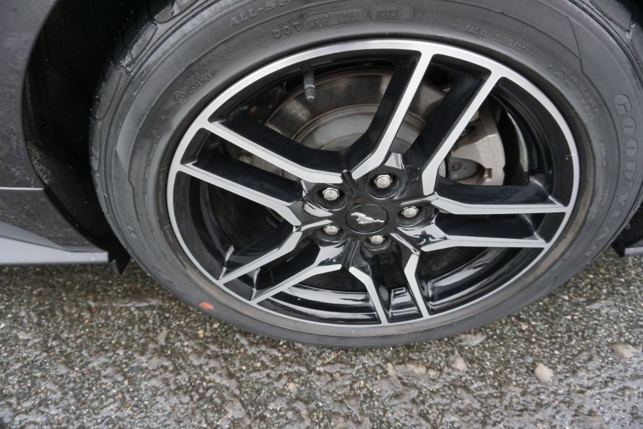 Used 2022 Ford Mustang Premium w/ Equipment Group 201A image 9