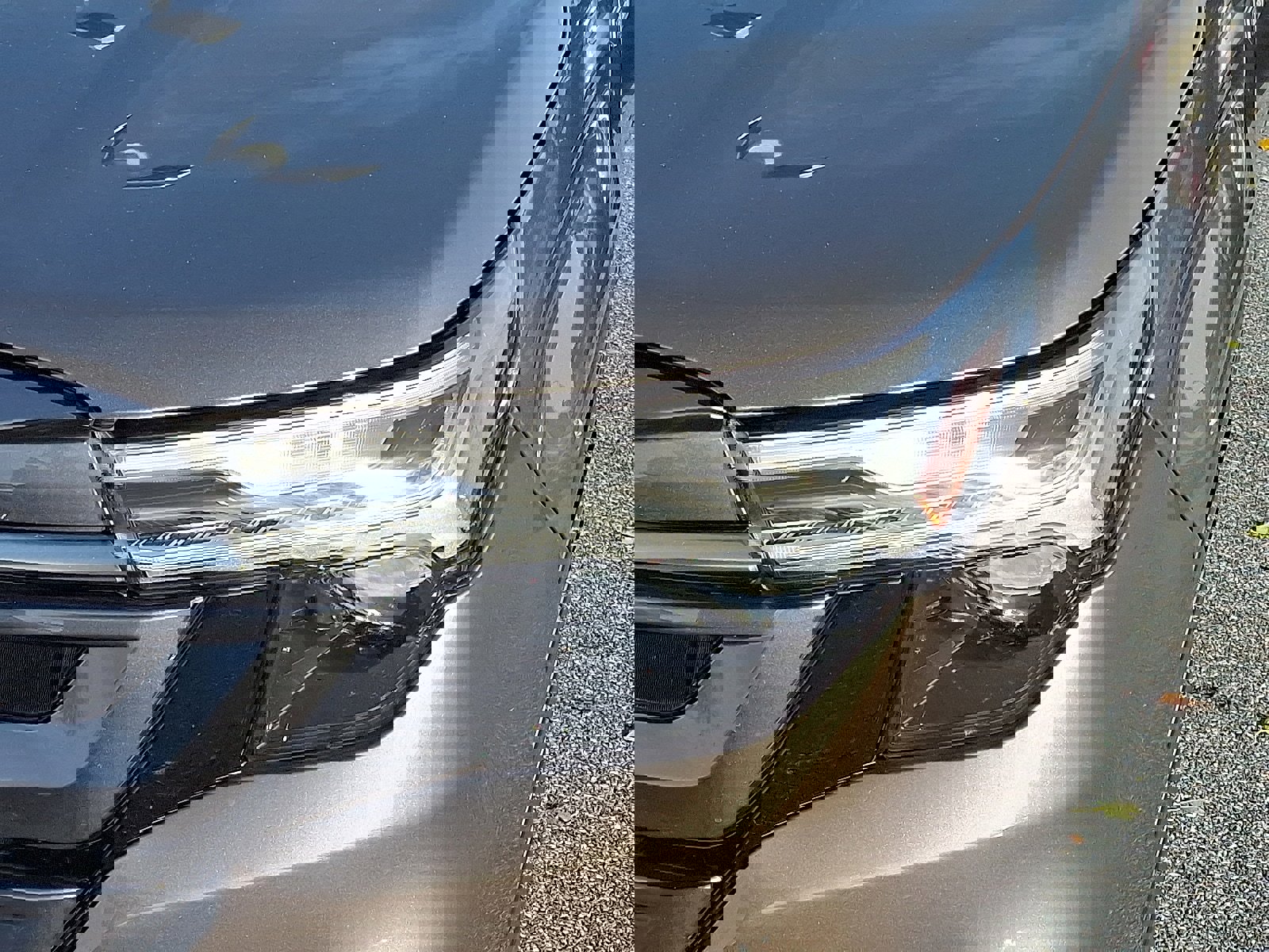 Certified 2025 Subaru Forester Limited w/ Protection Package (1PH) image 8